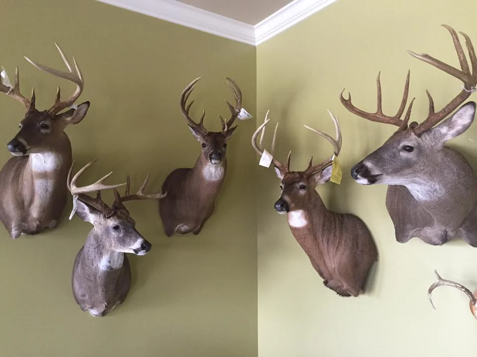 Acadiana Wild Game Processing