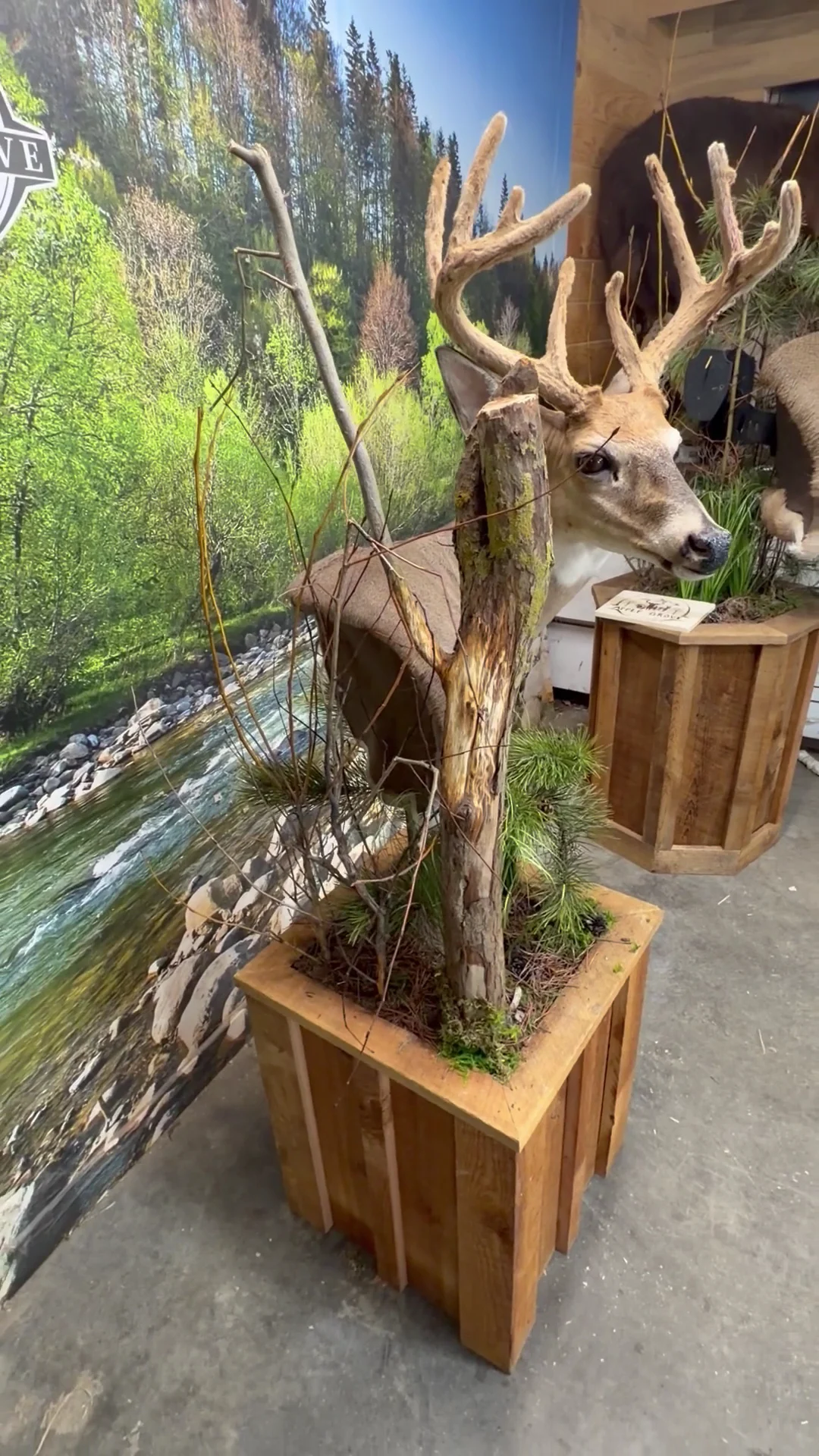 Apple Grove Taxidermy and Wild Game Butcher - 2