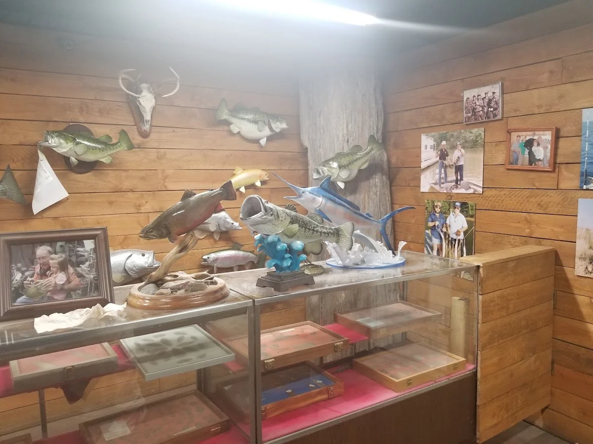 Archie Phillips Taxidermy - 2