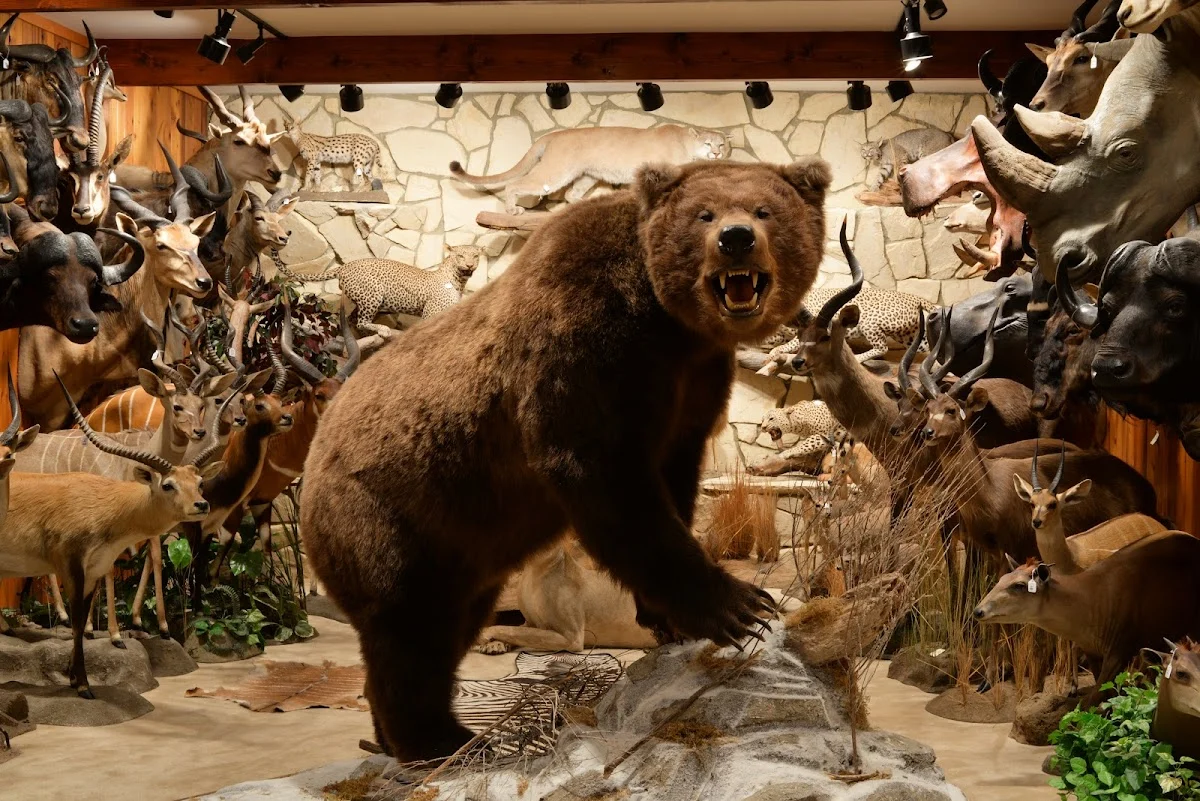 Art Kraft Taxidermy - 3