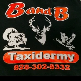B and B Taxidermy - 2