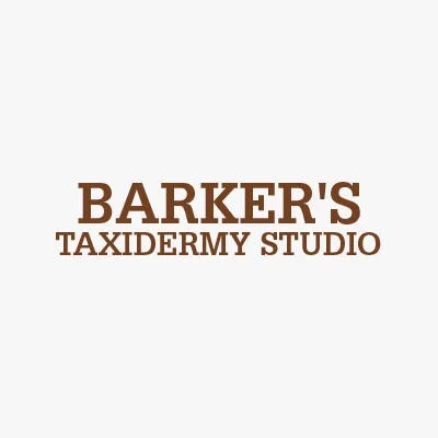 Barker's Taxidermy Studio - 2