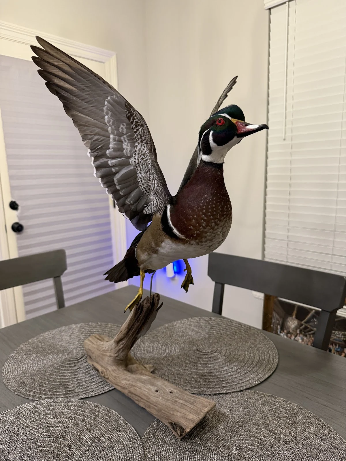 Barker's Taxidermy Studio