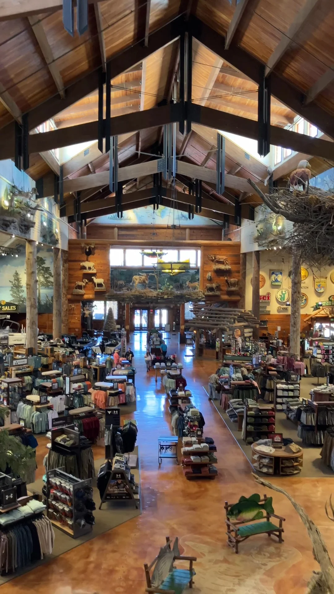 Bass Pro Shops - 2