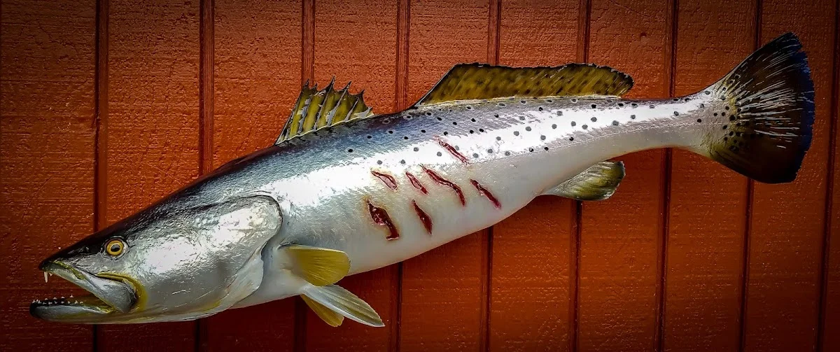 Bass Taxidermy Inc. - 2