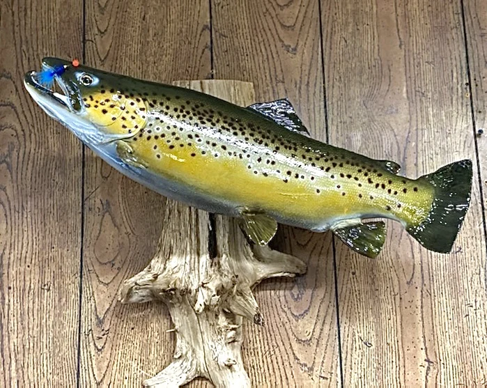 Battlefield Taxidermy Studio