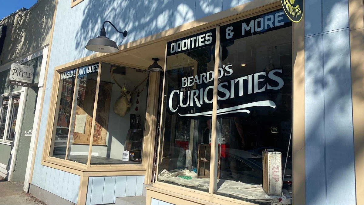 Beardo’s Curiosities
