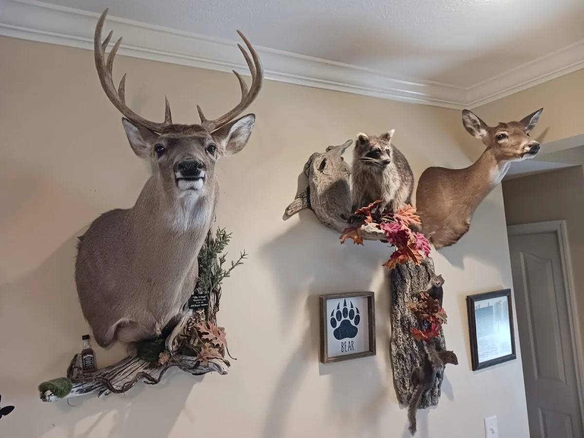 Bill Young's Taxidermy