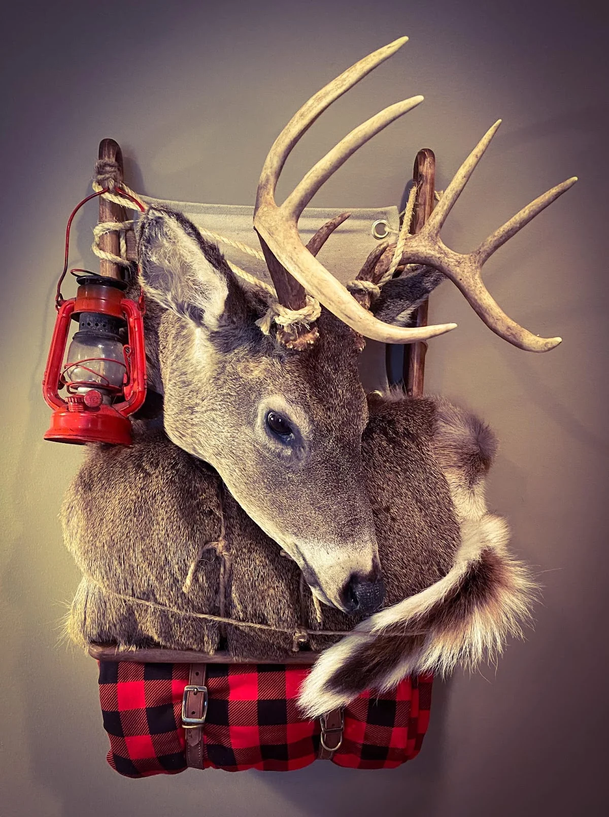 Black Fork Taxidermy - 2