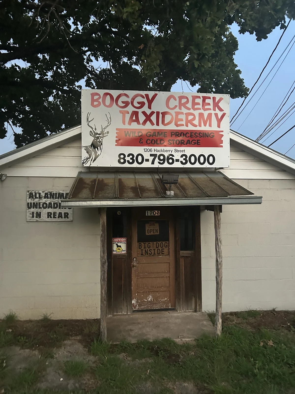 Boggy Creek Taxidermy - 2