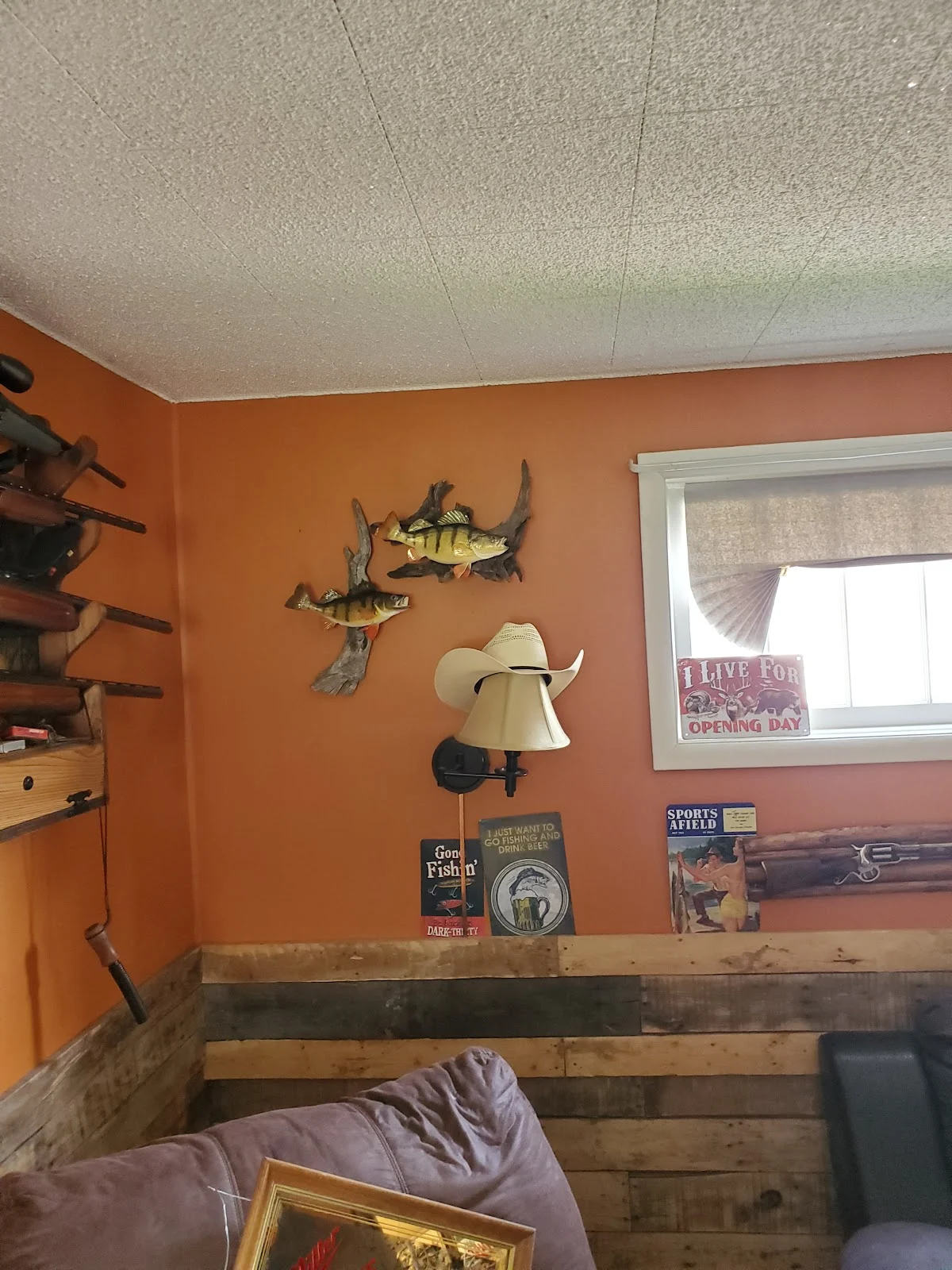 Bowe Taxidermy