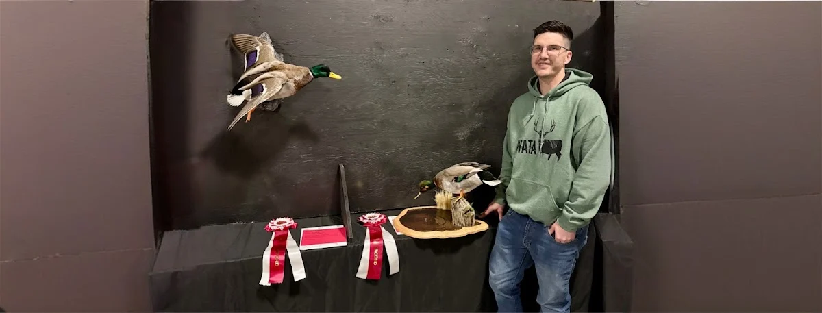 Brushed In Taxidermy