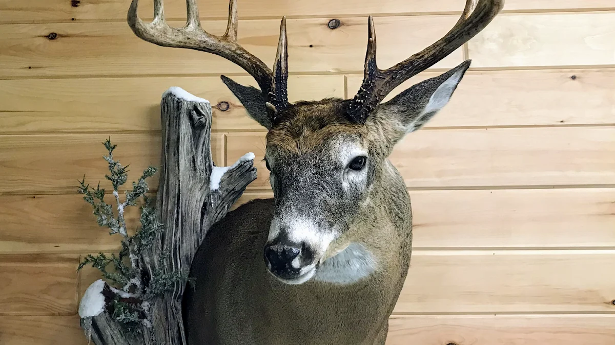 Buroker Taxidermy