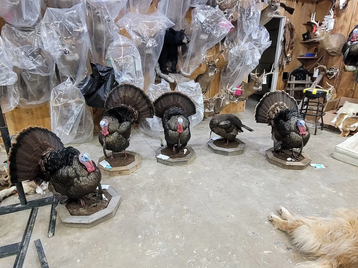 CLC Taxidermy LLC