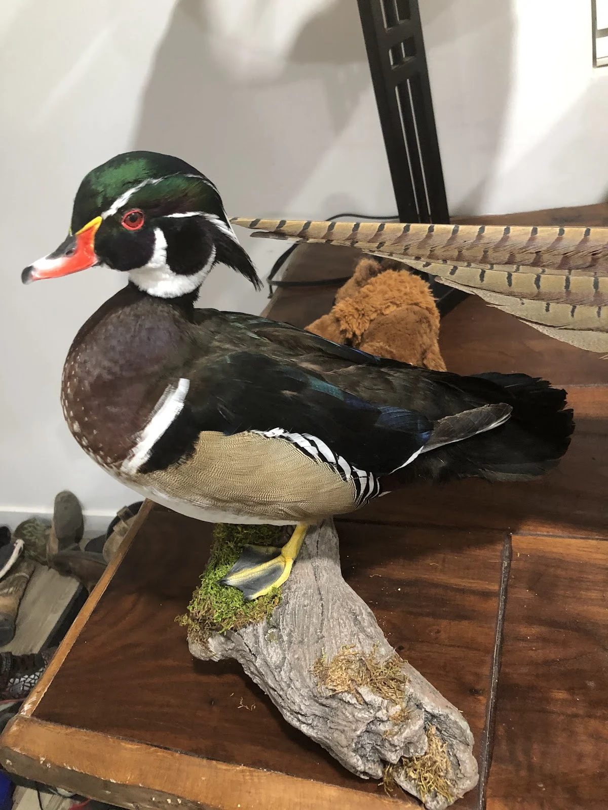 Clyde Wildlife Artistry