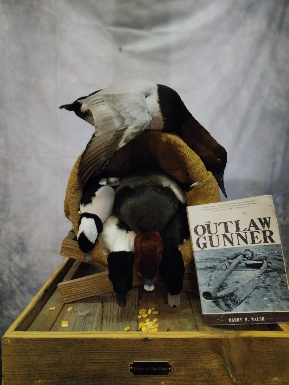 Cold Front Taxidermy - 3