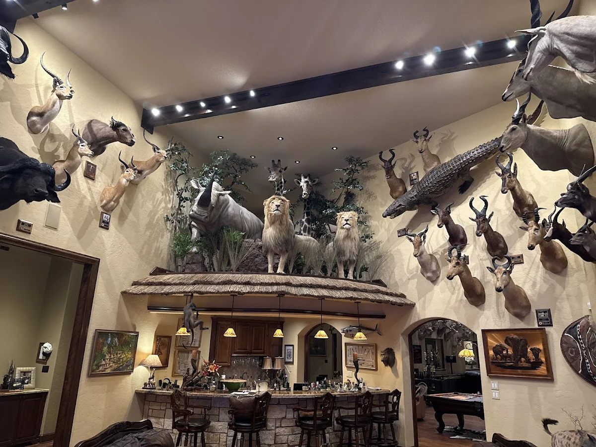 Conroe Taxidermy
