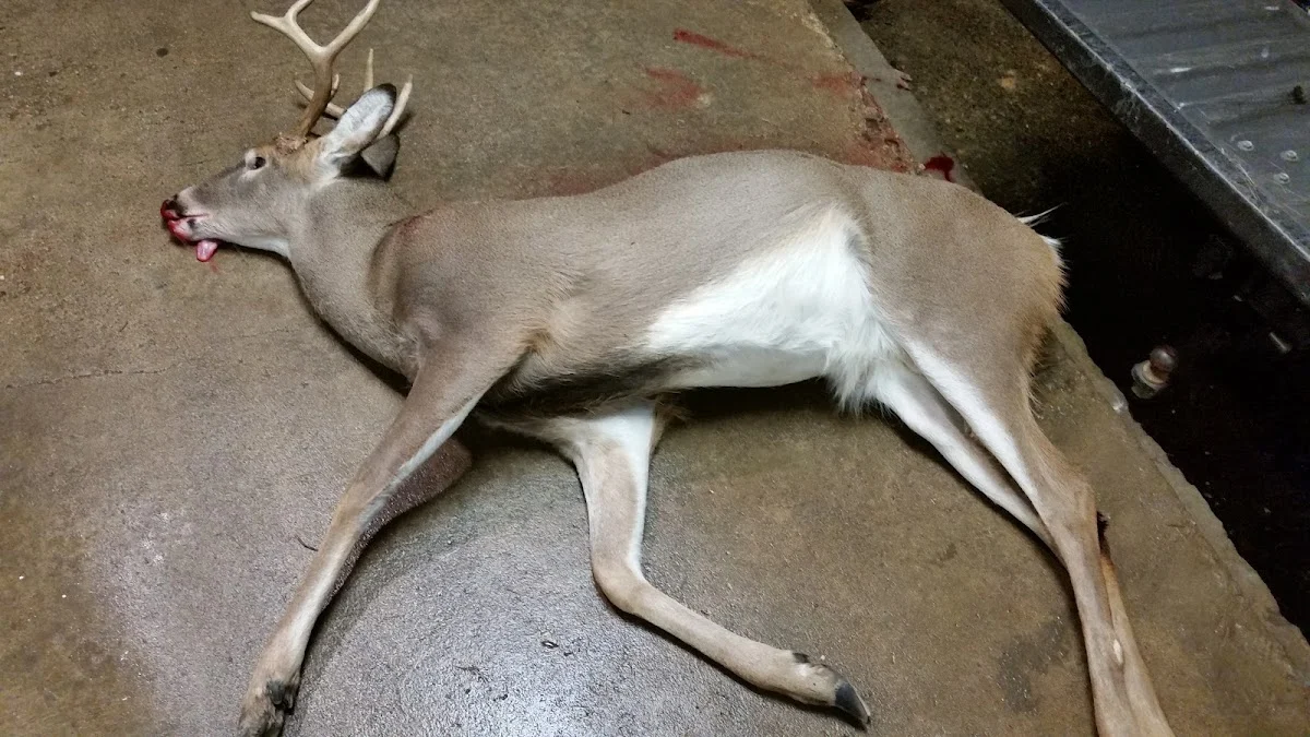 Craven Deer Processing