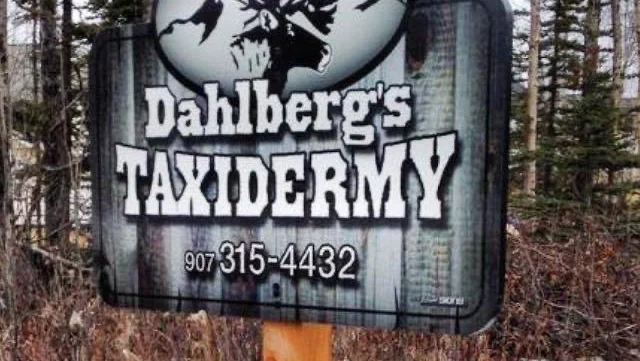 Dahlberg's Taxidermy