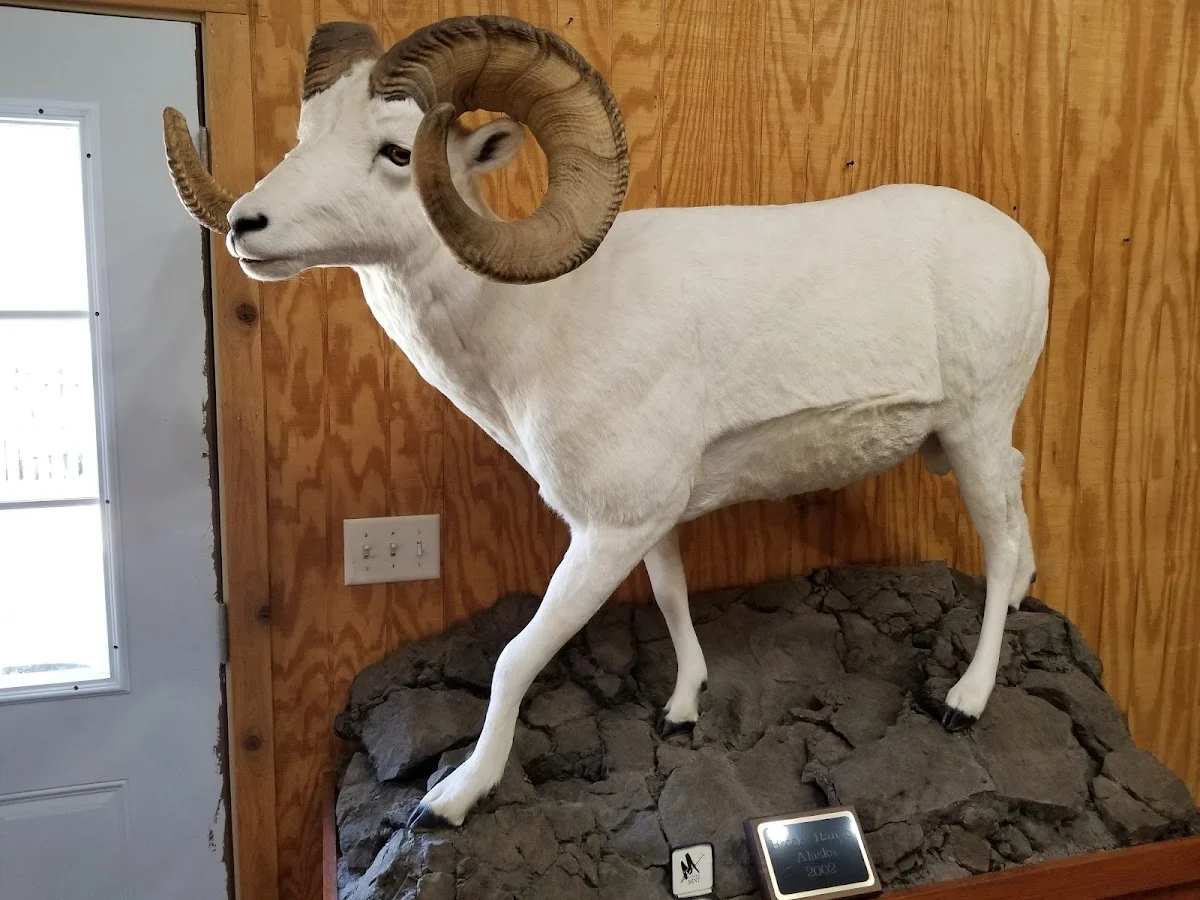 Dan Galetti Wildlife Studio - 2