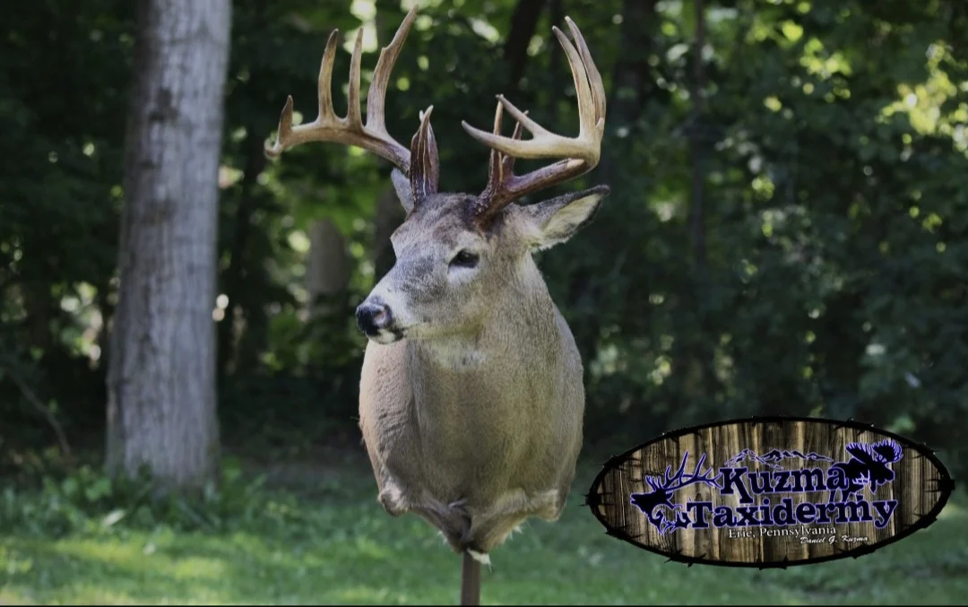 Daniel G. Kuzma Taxidermy