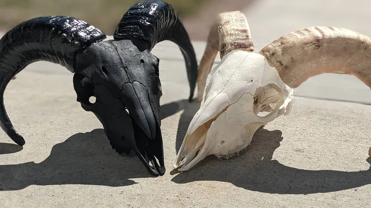 Dark Hills European Mounts LLC