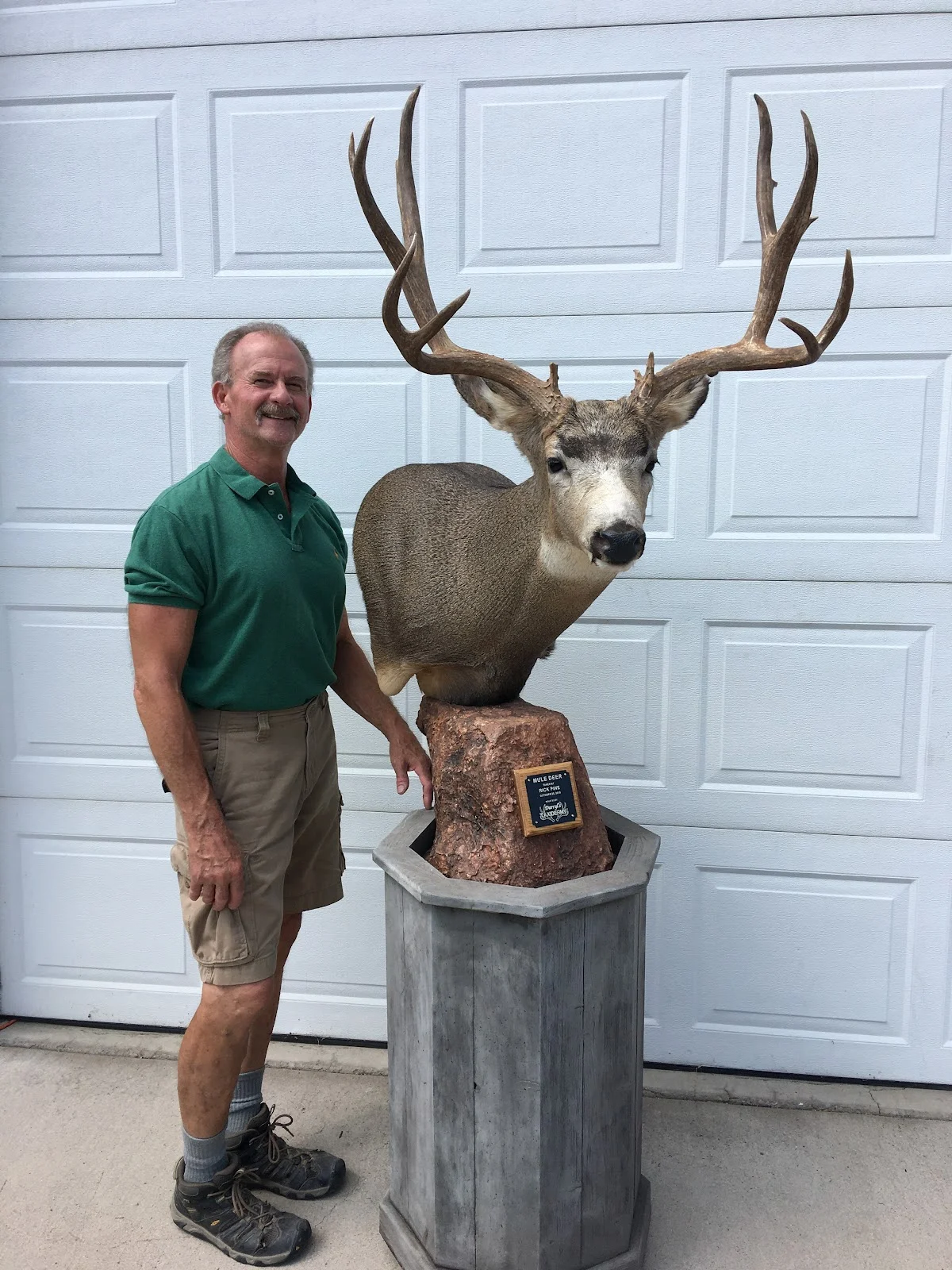 Darryl's Taxidermy
