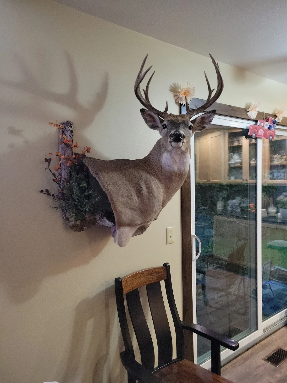Dave's Taxidermy