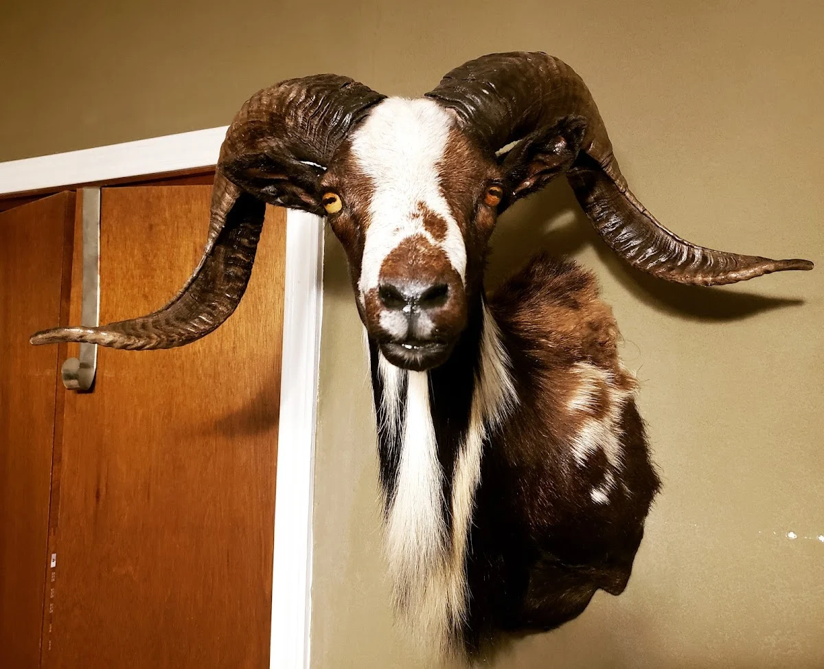 Escamilla Taxidermy