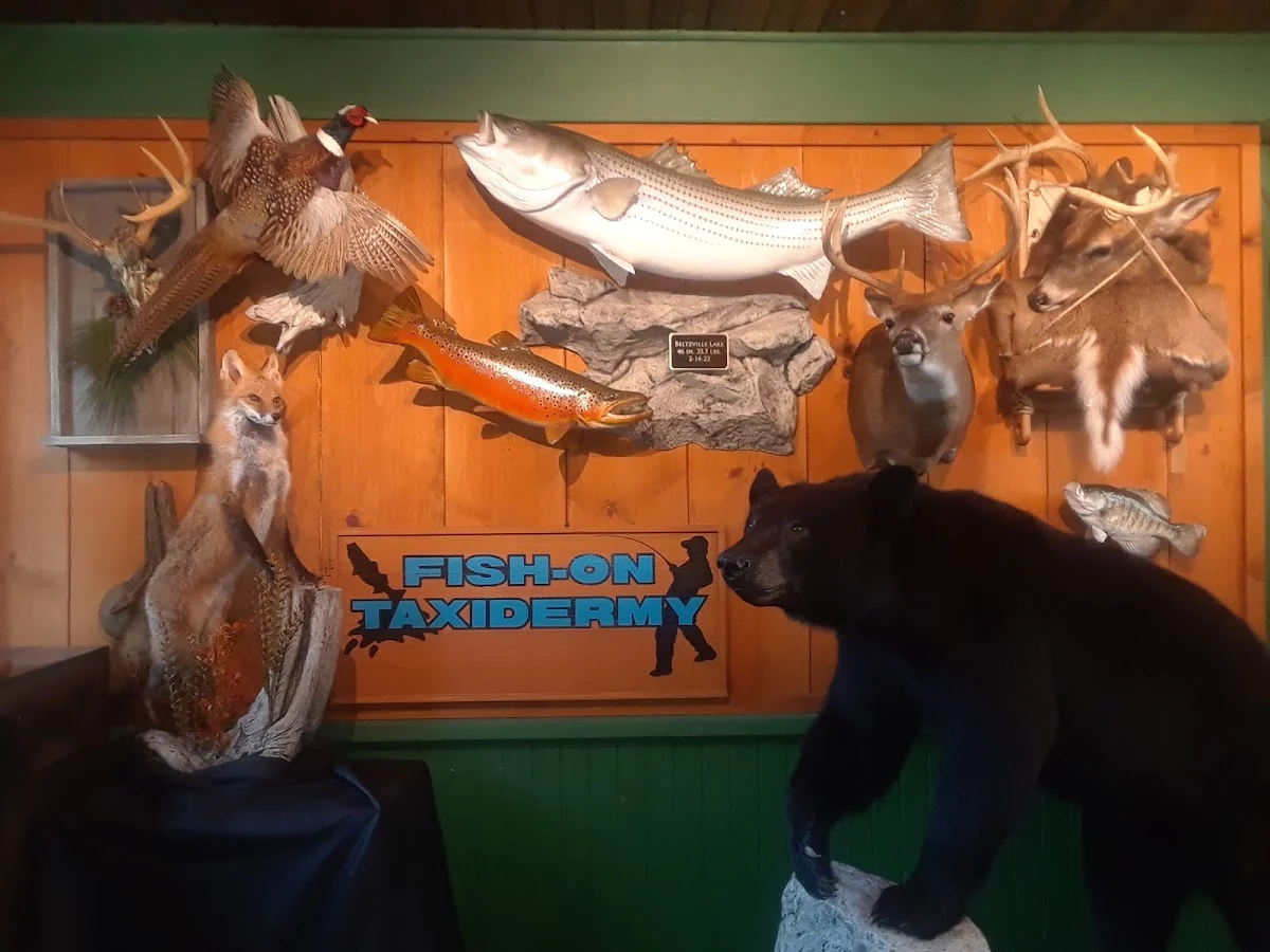 Fish-on Taxidermy