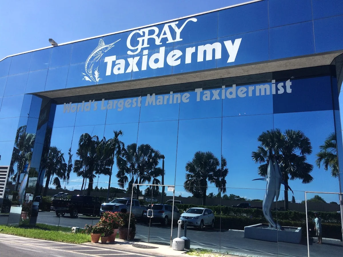 Gray Taxidermy - 3