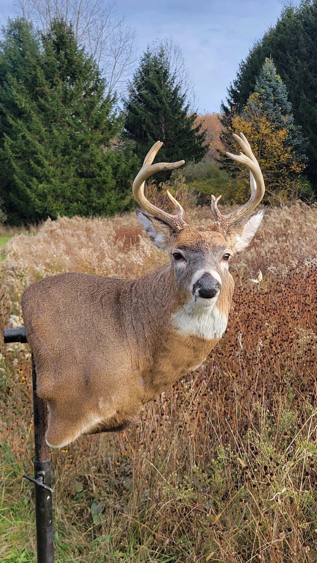 Hager's Whitetail Workshop - 3