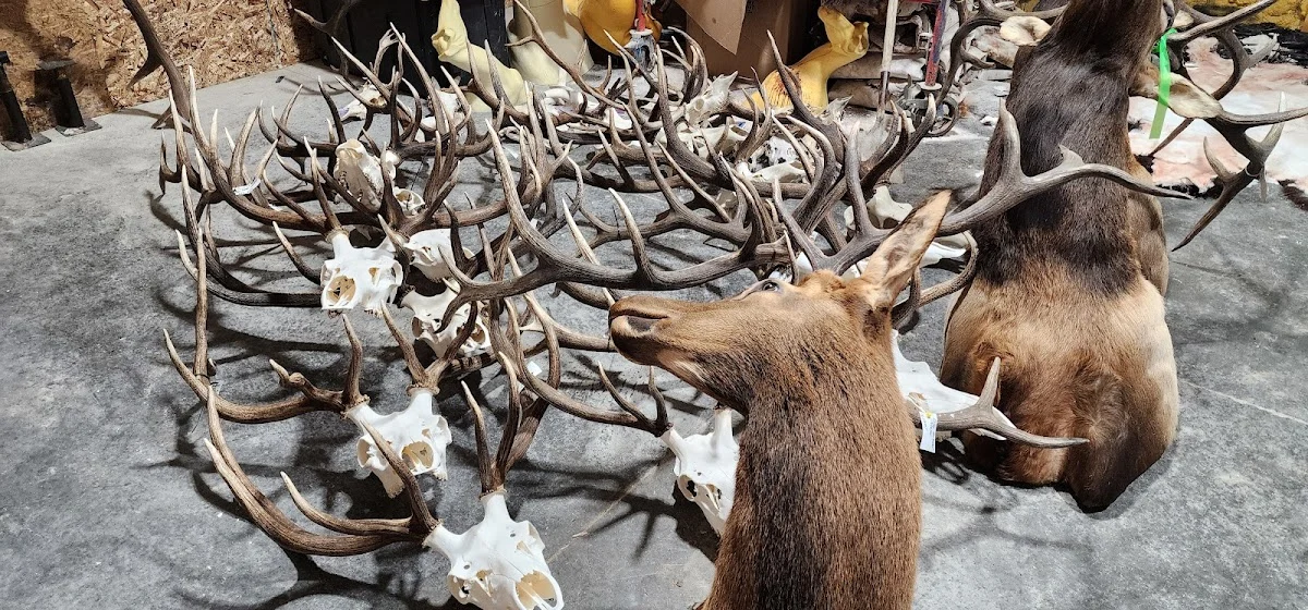 Happy Valley Taxidermy