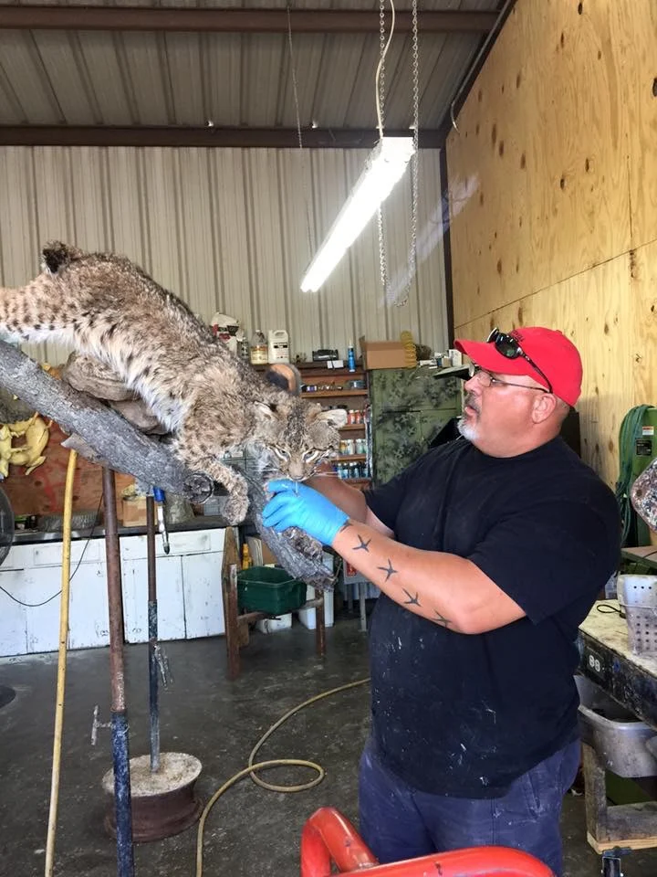 Hoof and Horn Taxidermy and Wild Game Processing