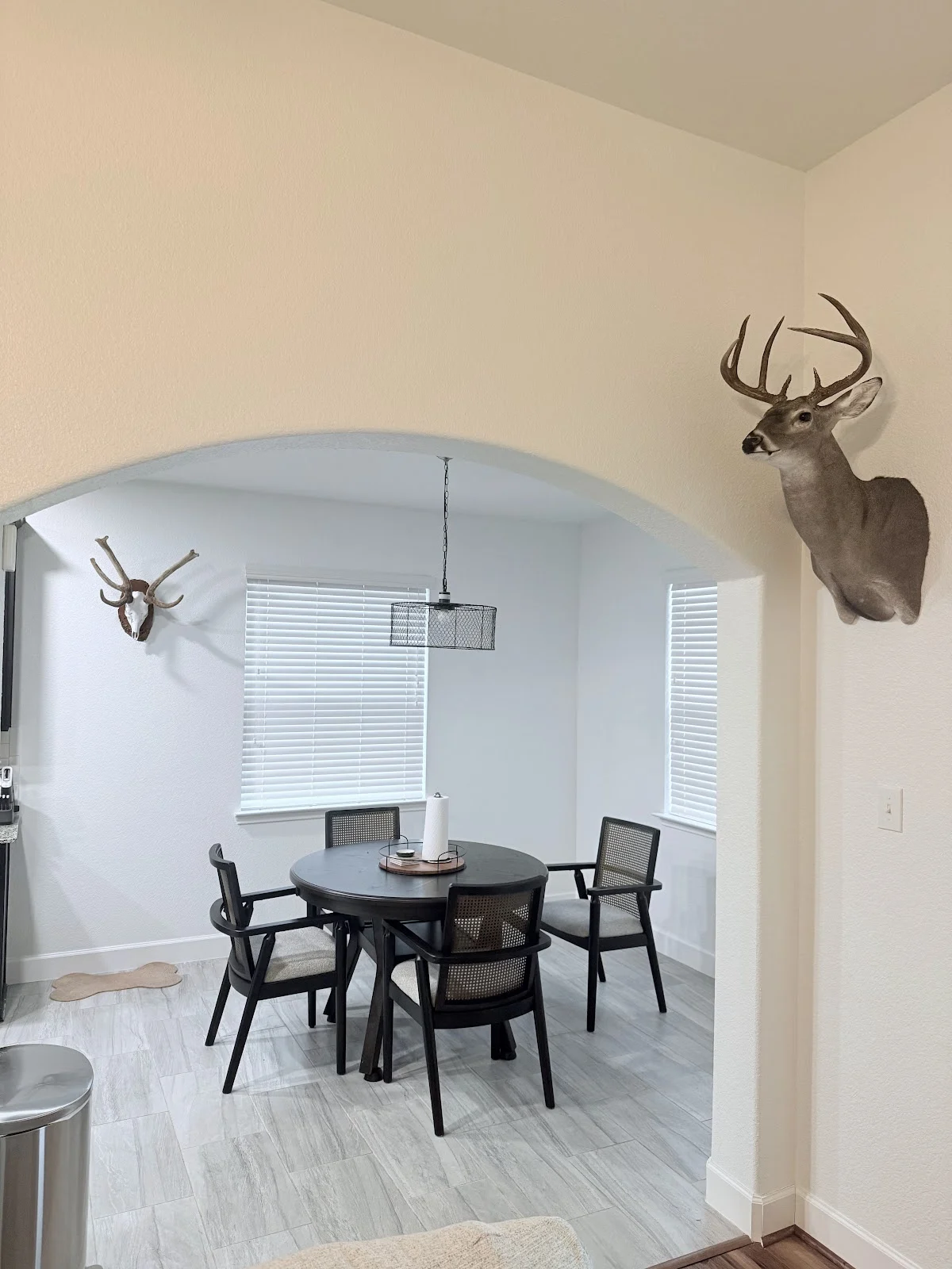HTX Taxidermy