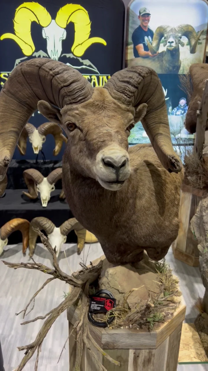 Hunter's Choice Taxidermy LLC - 4