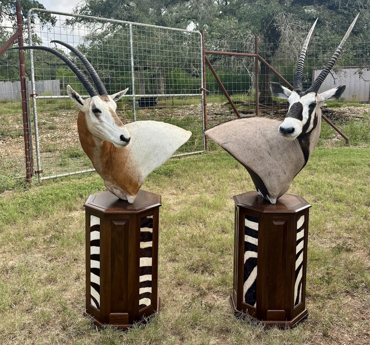J and J Taxidermy - 2