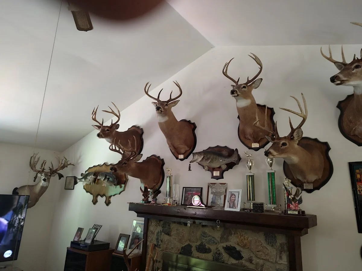 King's Taxidermy