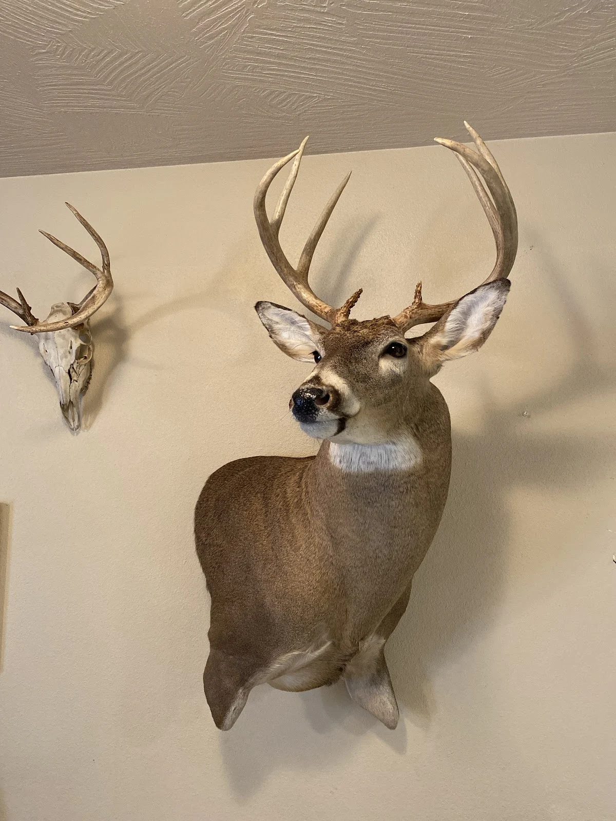 LEGACY WILDLIFE STUDIOS (LWS) - 3