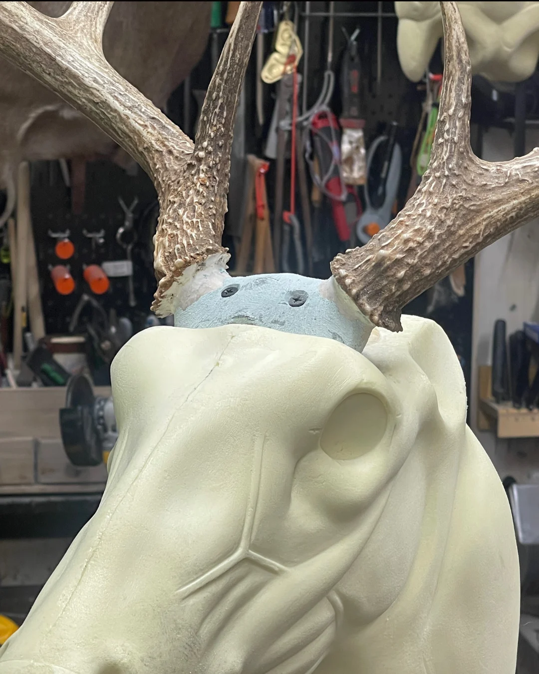 McKenzie Taxidermy Supply - 2