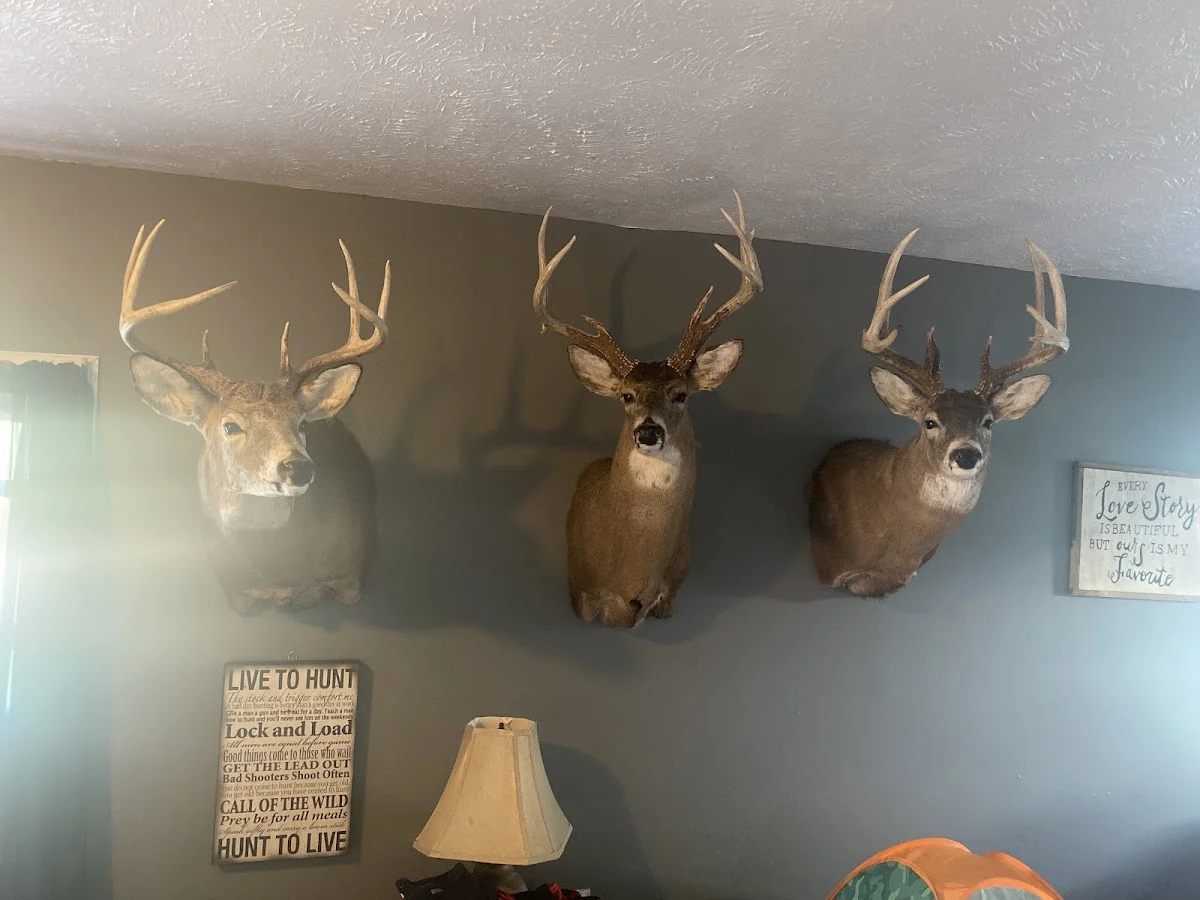 Mike's Taxidermy