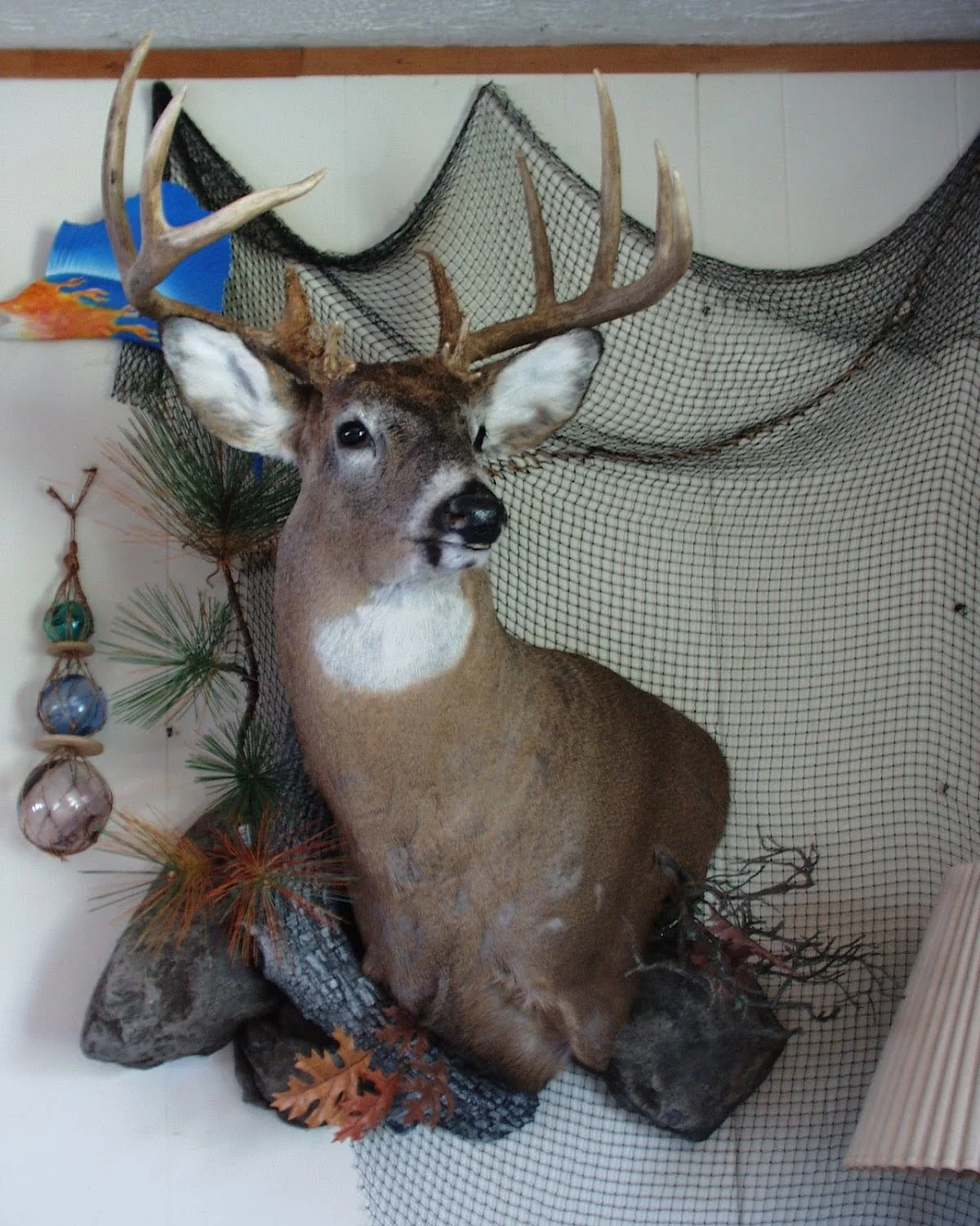Mike's Taxidermy - 2