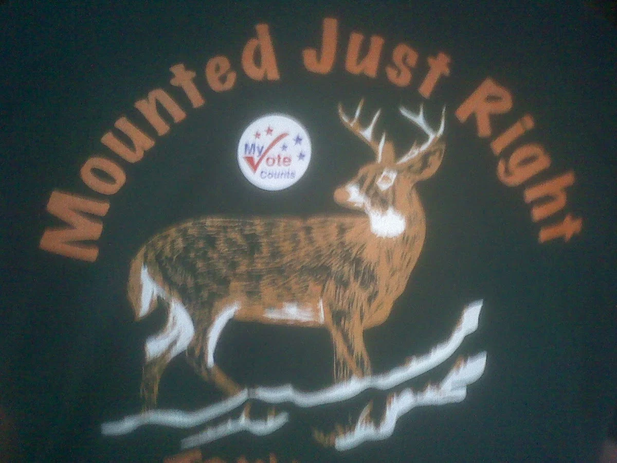 Mounted Just Right Taxidermy - 2
