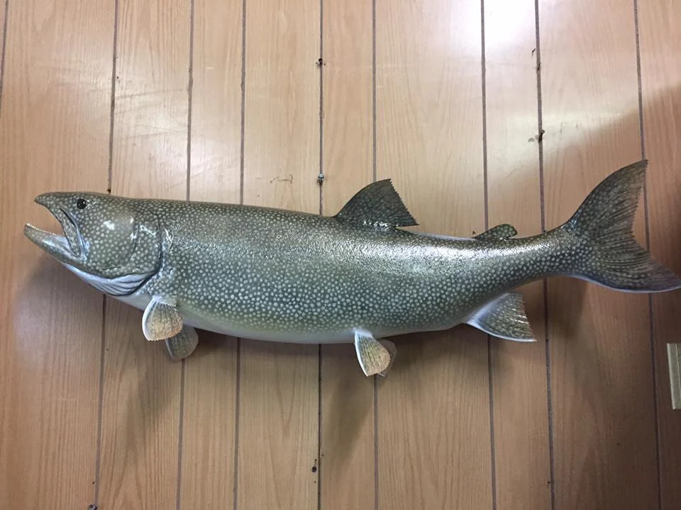 Nicely's Taxidermy