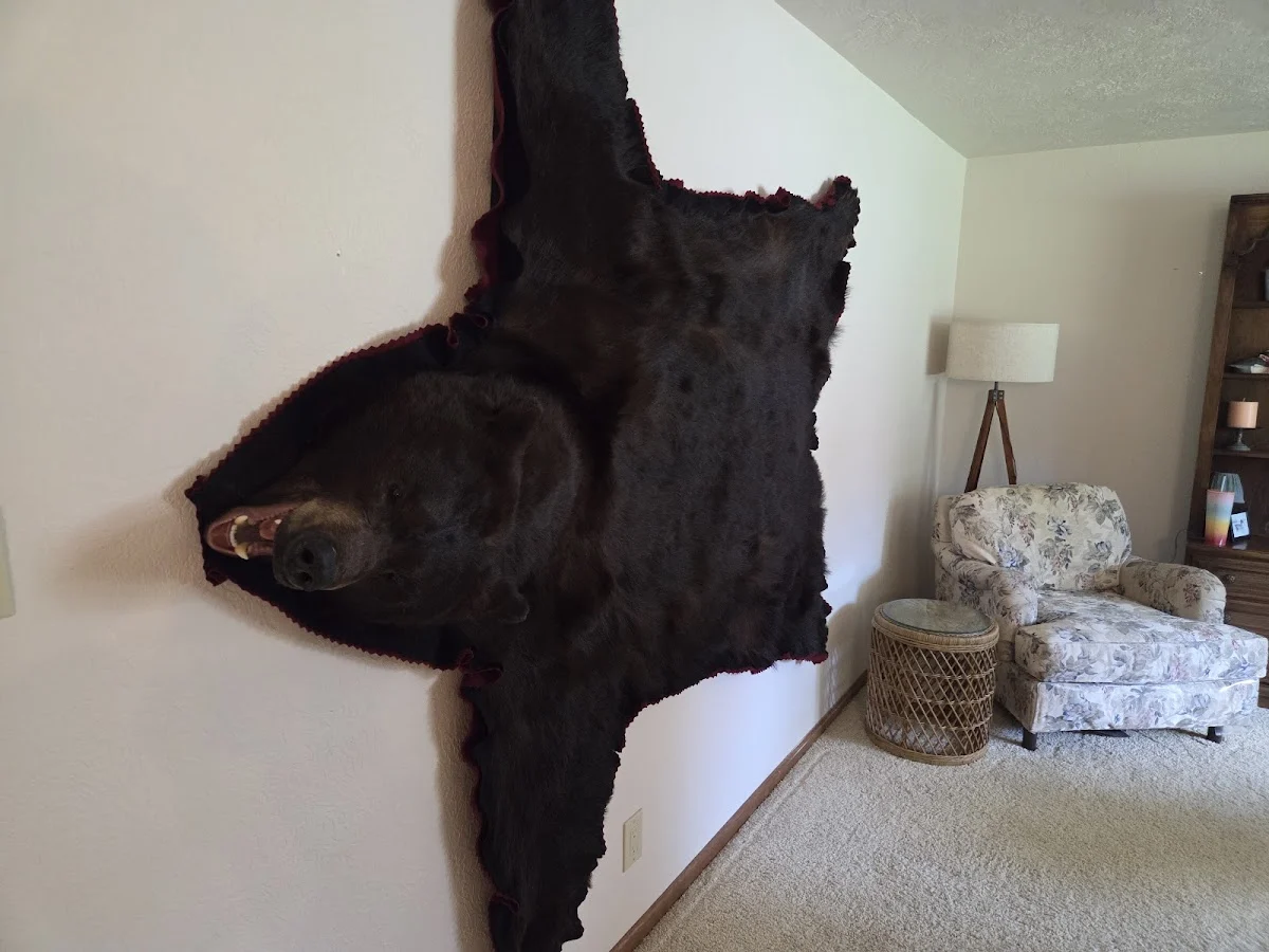 Owl Ridge Taxidermy