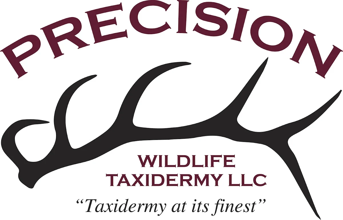 Precision Wildlife Taxidermy, LLC - 2