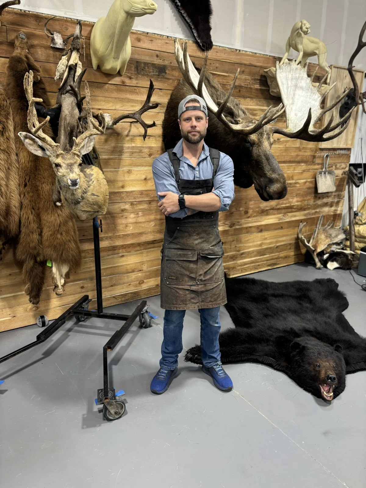 Preference Taxidermy