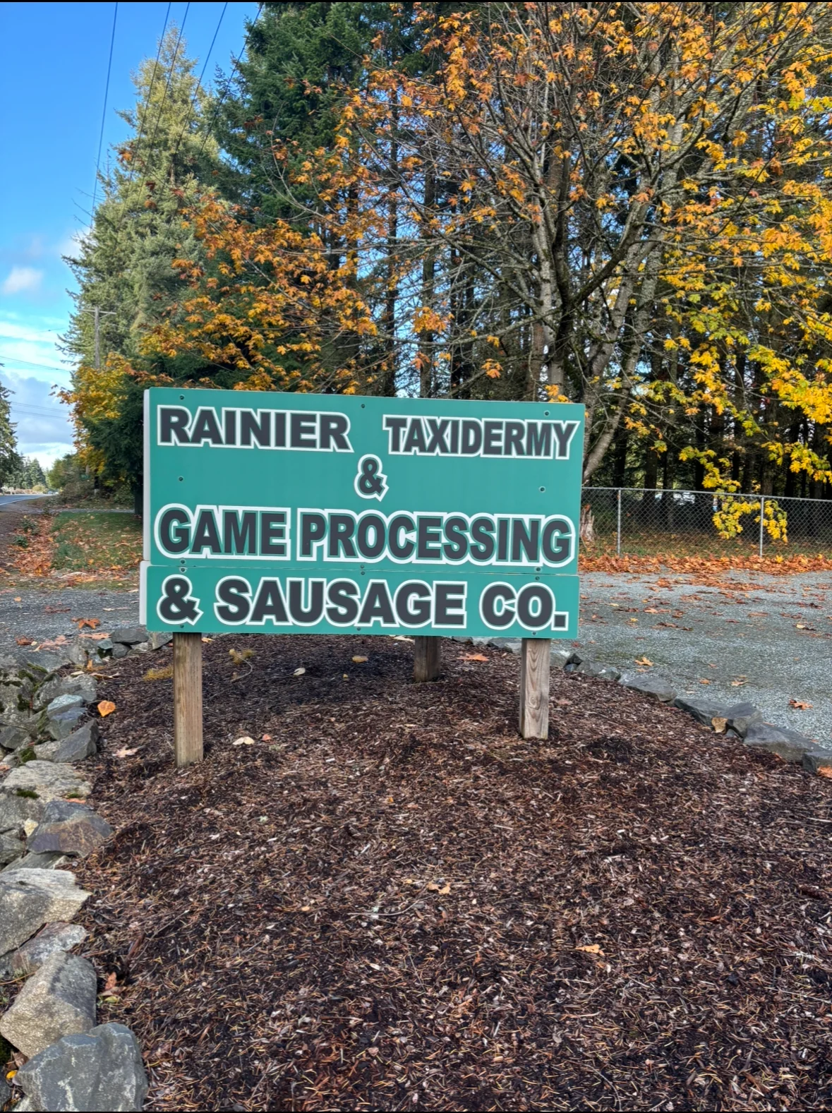 Rainier Taxidermy - 2