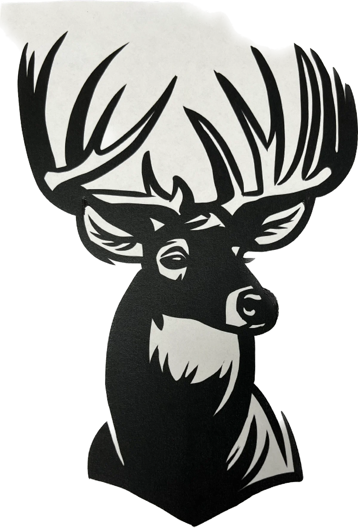 Realistic Reproductions Taxidermy - 2