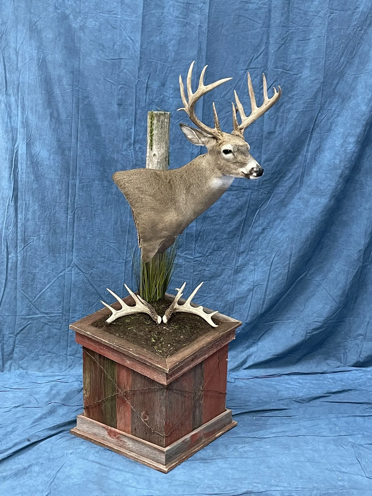 Riebe’s Taxidermy - 2